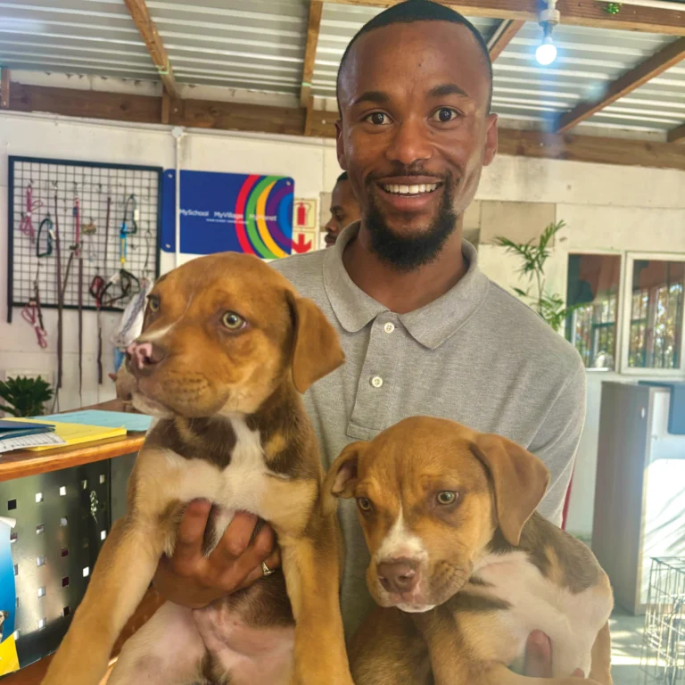 Animal Clinic Support